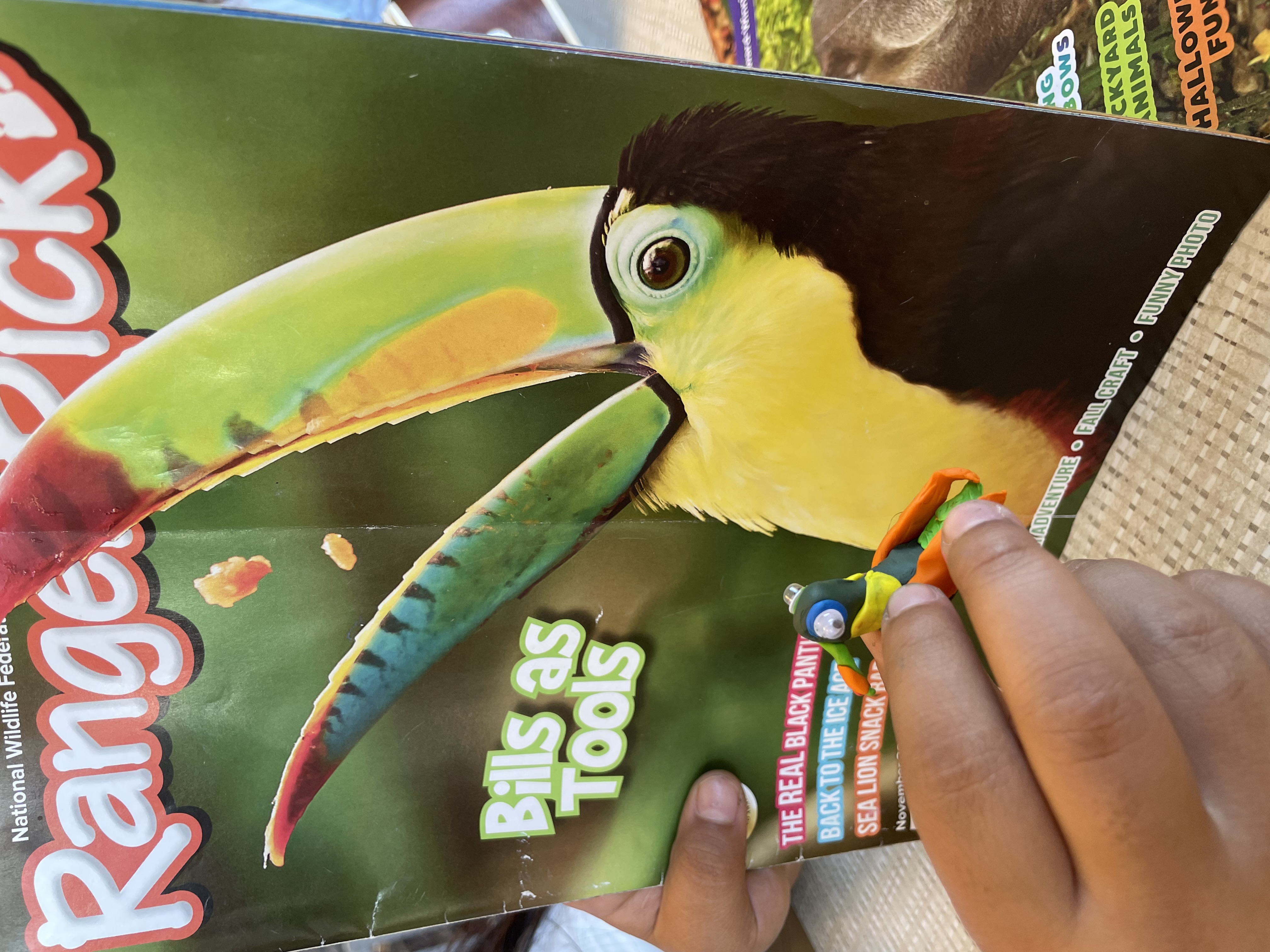 Detailed clay Toco Toucan with yellow chest, green wings, and red-tipped beak held in hand